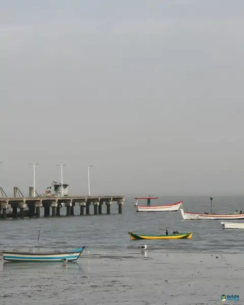 Mutirão de limpeza mobiliza comunidade e reforça a importância da preservação marinha em Florianópolis 15