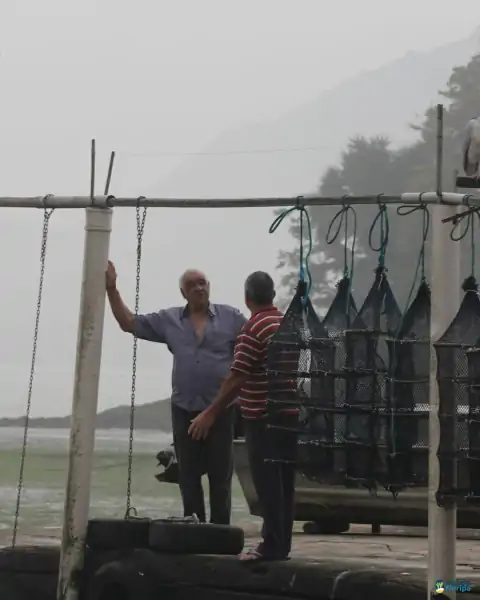 Mutirão de limpeza mobiliza comunidade e reforça a importância da preservação marinha em Florianópolis 16