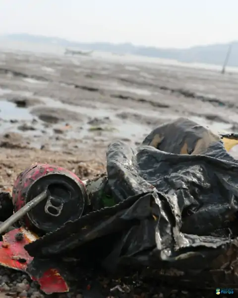 Mutirão de limpeza mobiliza comunidade e reforça a importância da preservação marinha em Florianópolis 25