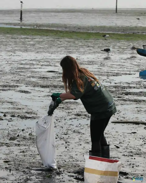 Mutirão de limpeza mobiliza comunidade e reforça a importância da preservação marinha em Florianópolis 29