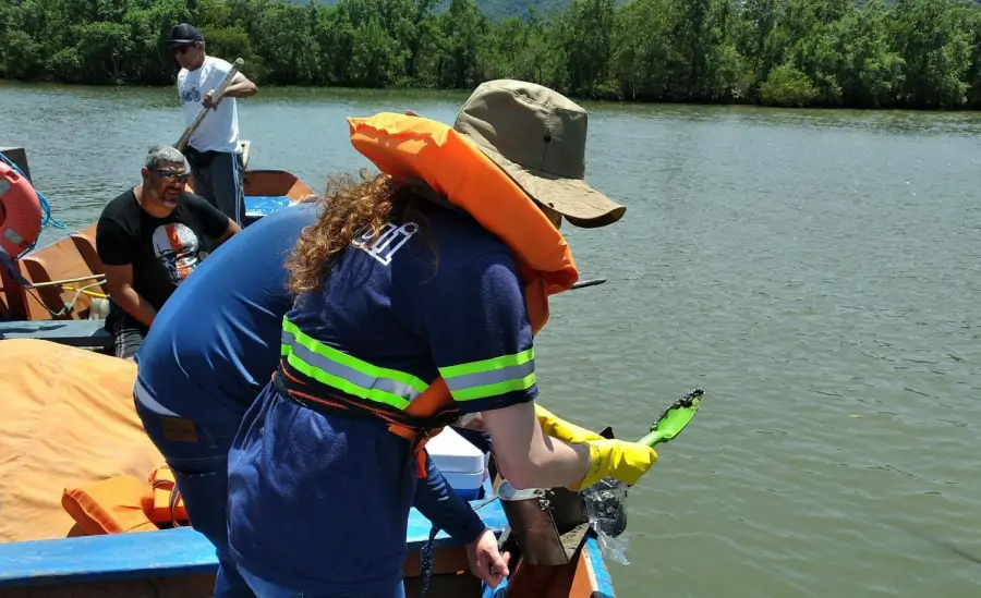 CASAN faz novas coletas para monitoramento ambiental da Baía do Saco Grande e seus afluentes 1