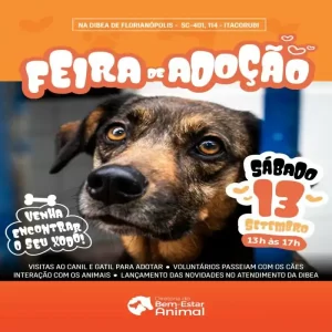 Leia mais sobre o artigo Dibea promove feira de adoção no sábado (13)
