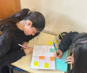 Leia mais sobre o artigo Escolas estaduais de SC são selecionadas para concorrer a prêmio nacional de educação ambiental