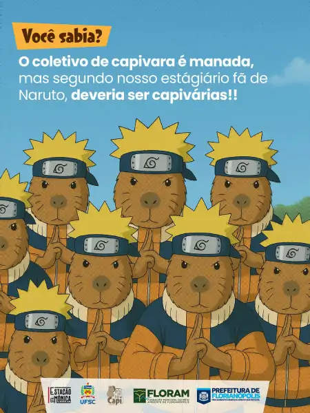 Estação Santa Mônica promove Dia da Capivara neste domingo 2
