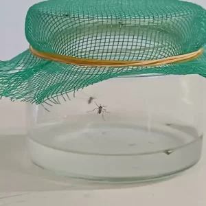 Leia mais sobre o artigo Estudantes apresentam experiências em Matemática e conhecimento