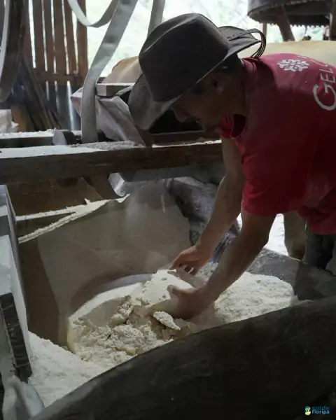 Farinhada no Sertão do Ribeirão reúne famílias e preserva tradição em Florianópolis 47