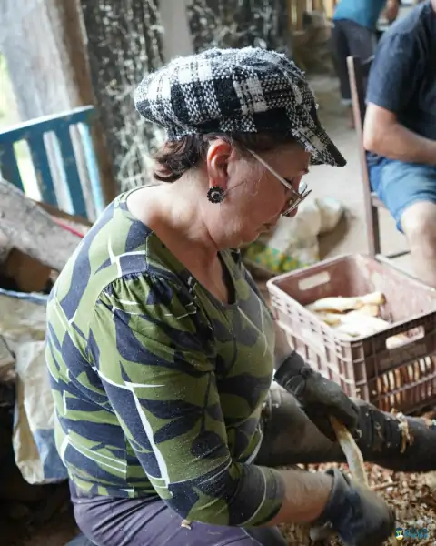 Farinhada no Sertão do Ribeirão reúne famílias e preserva tradição em Florianópolis 12