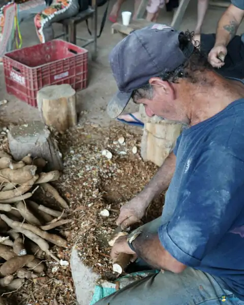 Farinhada no Sertão do Ribeirão reúne famílias e preserva tradição em Florianópolis 13