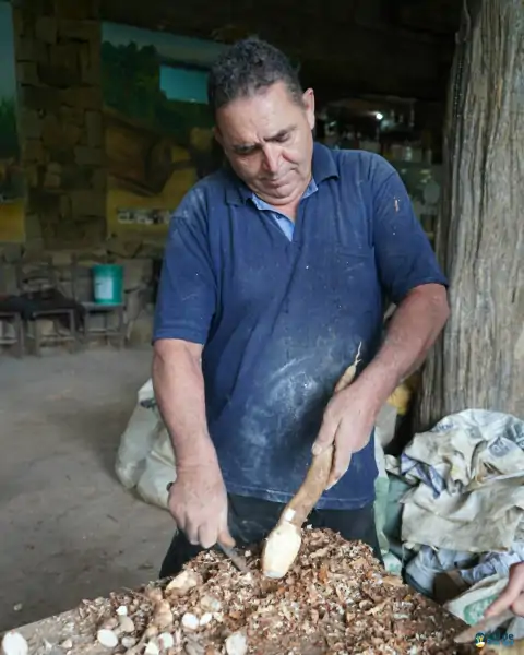 Farinhada no Sertão do Ribeirão reúne famílias e preserva tradição em Florianópolis 14