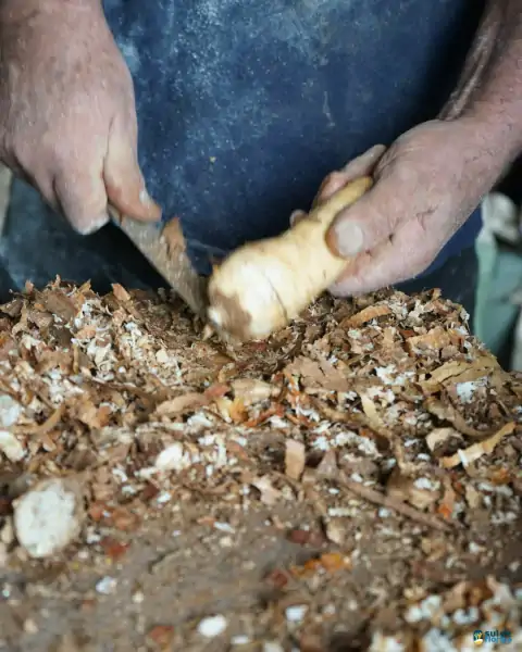 Farinhada no Sertão do Ribeirão reúne famílias e preserva tradição em Florianópolis 16