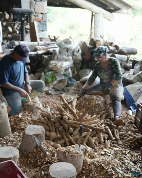 Farinhada no Sertão do Ribeirão reúne famílias e preserva tradição em Florianópolis 17