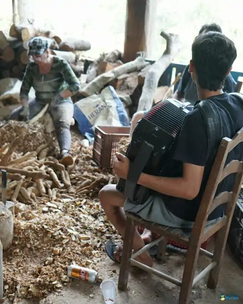Farinhada no Sertão do Ribeirão reúne famílias e preserva tradição em Florianópolis 18