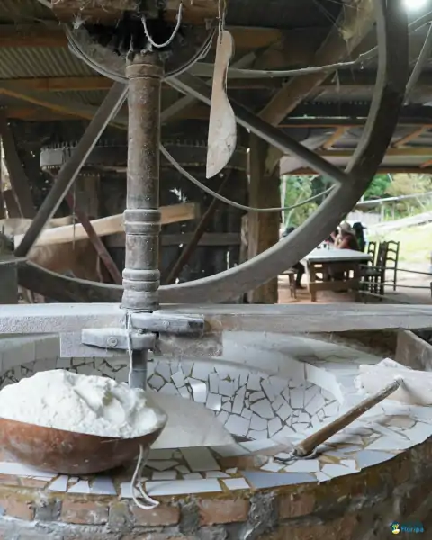 Farinhada no Sertão do Ribeirão reúne famílias e preserva tradição em Florianópolis 22