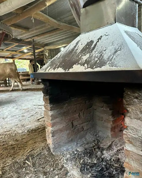 Farinhada no Sertão do Ribeirão reúne famílias e preserva tradição em Florianópolis 26