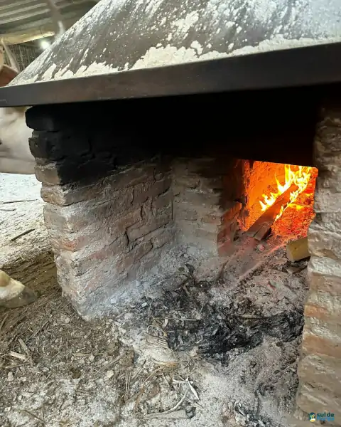 Farinhada no Sertão do Ribeirão reúne famílias e preserva tradição em Florianópolis 27