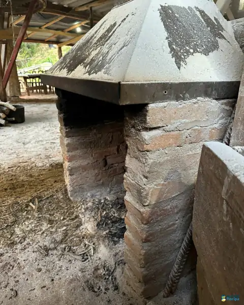 Farinhada no Sertão do Ribeirão reúne famílias e preserva tradição em Florianópolis 28