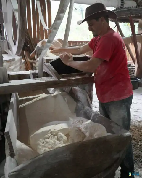 Farinhada no Sertão do Ribeirão reúne famílias e preserva tradição em Florianópolis 3