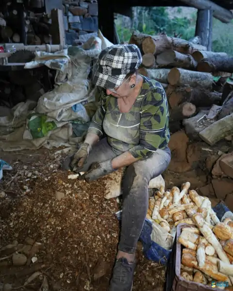 Farinhada no Sertão do Ribeirão reúne famílias e preserva tradição em Florianópolis 37
