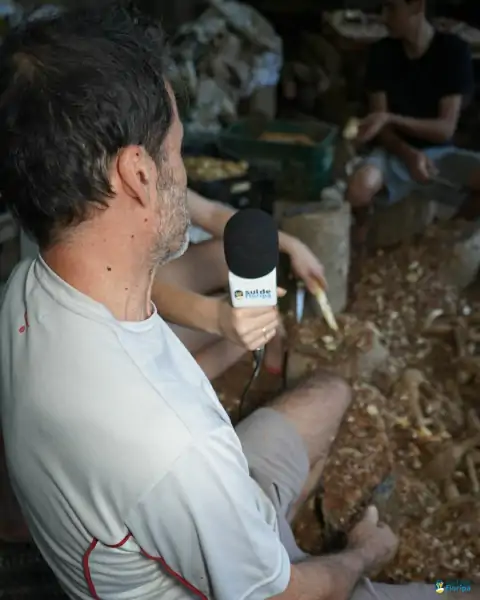 Farinhada no Sertão do Ribeirão reúne famílias e preserva tradição em Florianópolis 39