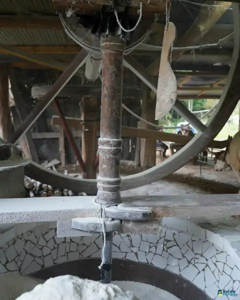 Farinhada no Sertão do Ribeirão reúne famílias e preserva tradição em Florianópolis 42