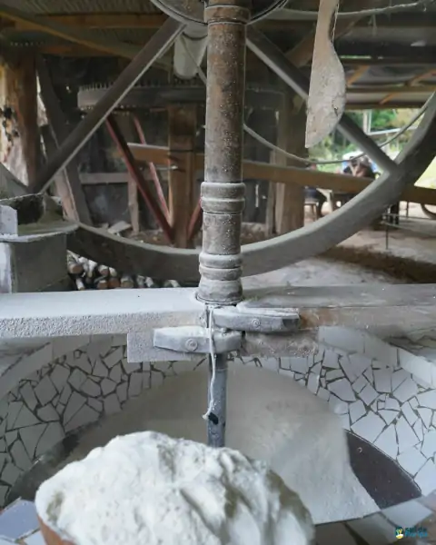 Farinhada no Sertão do Ribeirão reúne famílias e preserva tradição em Florianópolis 44