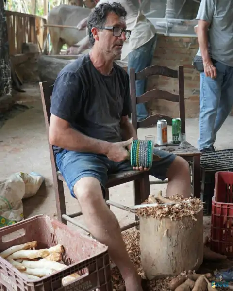 Farinhada no Sertão do Ribeirão reúne famílias e preserva tradição em Florianópolis 9