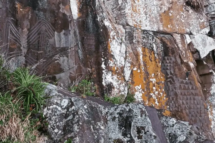 Ilha do Campeche - Visitação 5