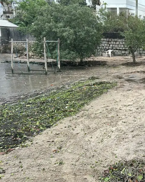 Pescador inicia ação de limpeza na Praia do Saco dos Limões com objetivo de revitalizar espaço para crianças 3