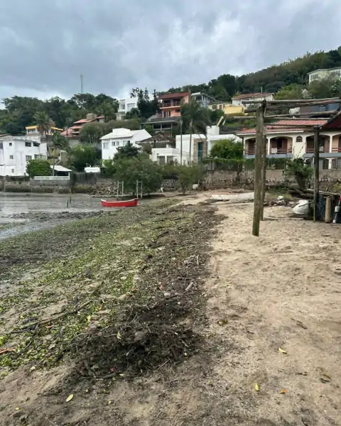 Pescador inicia ação de limpeza na Praia do Saco dos Limões com objetivo de revitalizar espaço para crianças 5