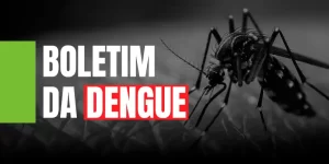 Leia mais sobre o artigo Saúde registra mais de 52 mil focos do mosquito Aedes aegypti no estado