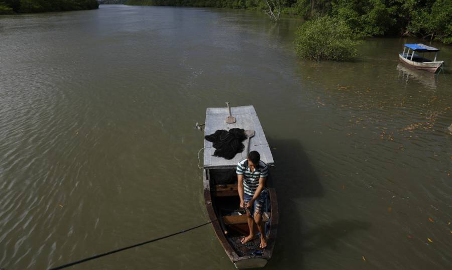 Seguro-defeso do pescador artesanal terá novas regras em outubro 1