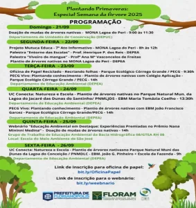 Leia mais sobre o artigo Semana de sensibilização sobre importância das árvores é promovida pelo Departamento de Educação Ambiental 