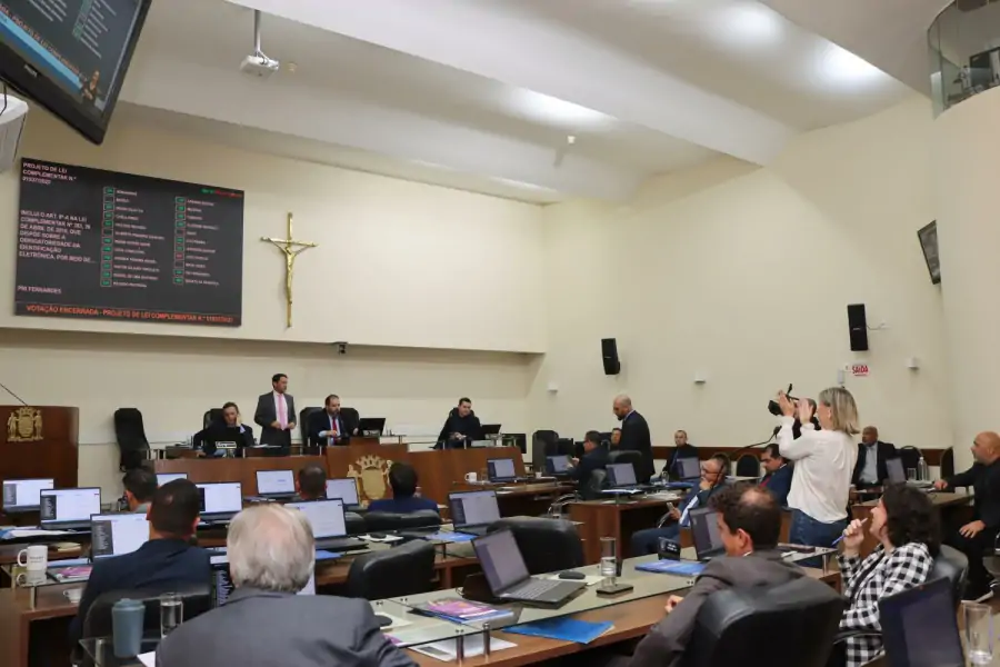 Câmara aprova lei que proíbe comercialização clandestina de cães e gatos em Florianópolis 1