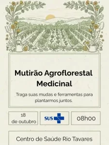 Leia mais sobre o artigo Centro de Saúde do Rio Tavares realiza Mutirão Agroflorestal Medicinal neste sábado (18)