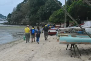 Leia mais sobre o artigo Cooperação entre moradores e instituições promove limpeza do mangue e de praias em Florianópolis