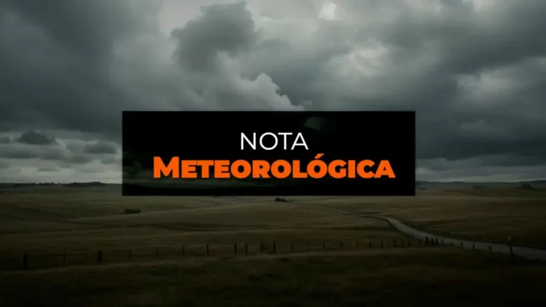Notícias 15