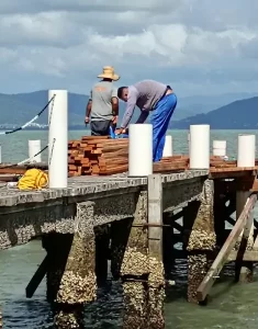 Leia mais sobre o artigo Fortaleza de Ratones, em Florianópolis, deve reabrir em novembro após obras no trapiche de acesso