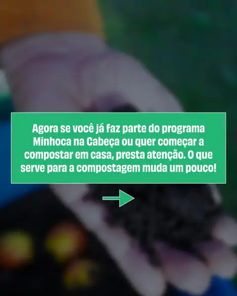 Prefeitura de Florianópolis orienta sobre separação correta de resíduos orgânicos 2