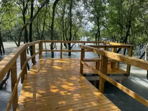 Leia mais sobre o artigo Prefeitura entrega a nova passarela ambiental do Itacorubi