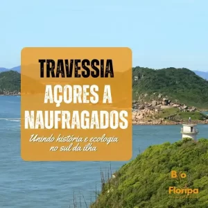 Leia mais sobre o artigo Bio Floripa promove trilha entre os Açores e Naufragados com imersão na natureza do Sul da Ilha