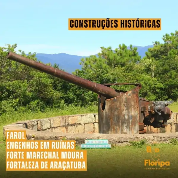 Bio Floripa promove trilha entre os Açores e Naufragados com imersão na natureza do Sul da Ilha 5