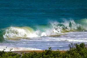 Leia mais sobre o artigo IMA divulga relatório de balneabilidade referente à semana de 03 a 07 de novembro de 2025