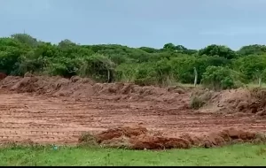Leia mais sobre o artigo Moradores do Campeche manifestam preocupação com construções na região
