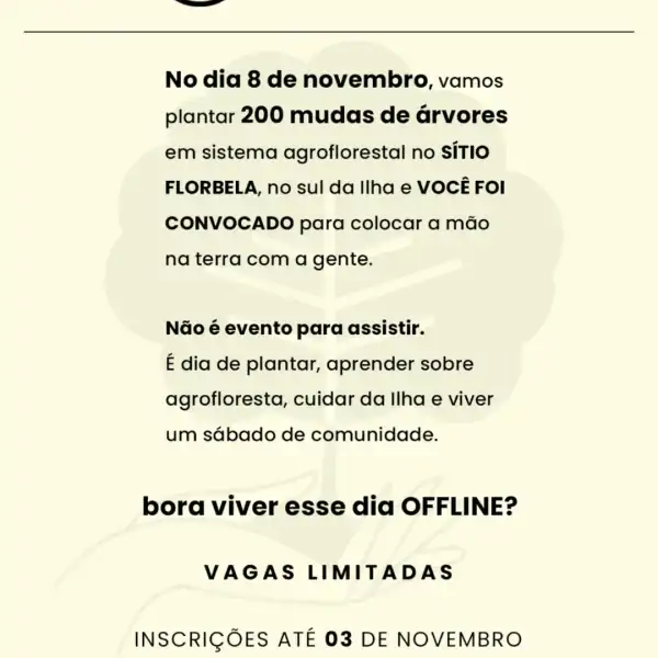 Mutirão Offline convida comunidade para plantar 200 árvores no Sul da Ilha 2