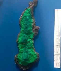 Leia mais sobre o artigo Armação do Pântano do Sul recebeu exposição com foco em arte, educação ambiental e preservação