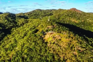 Leia mais sobre o artigo CPE abre consulta pública sobre Unidades de Conservação de Florianópolis