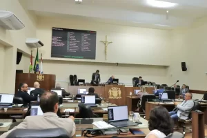 Leia mais sobre o artigo Câmara aprova projeto que cria regras para circulação de cães nas praias de Florianópolis