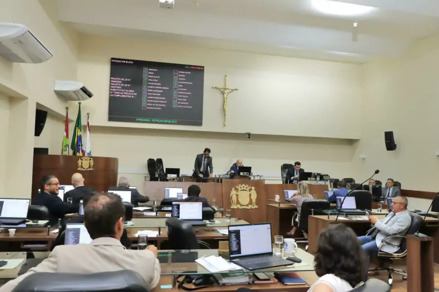 Câmara aprova projeto que cria regras para circulação de cães nas praias de Florianópolis 1