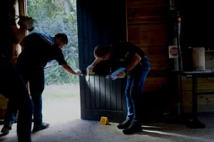 Leia mais sobre o artigo Governo do Estado abre concurso público para perito oficial criminal da Polícia Científica