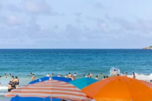 Leia mais sobre o artigo IMA divulga relatório de balneabilidade referente à semana de 15 a 19 de dezembro de 2025